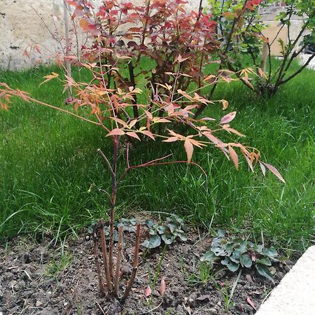 B&B 4U Matera Dış mekan fotoğraf